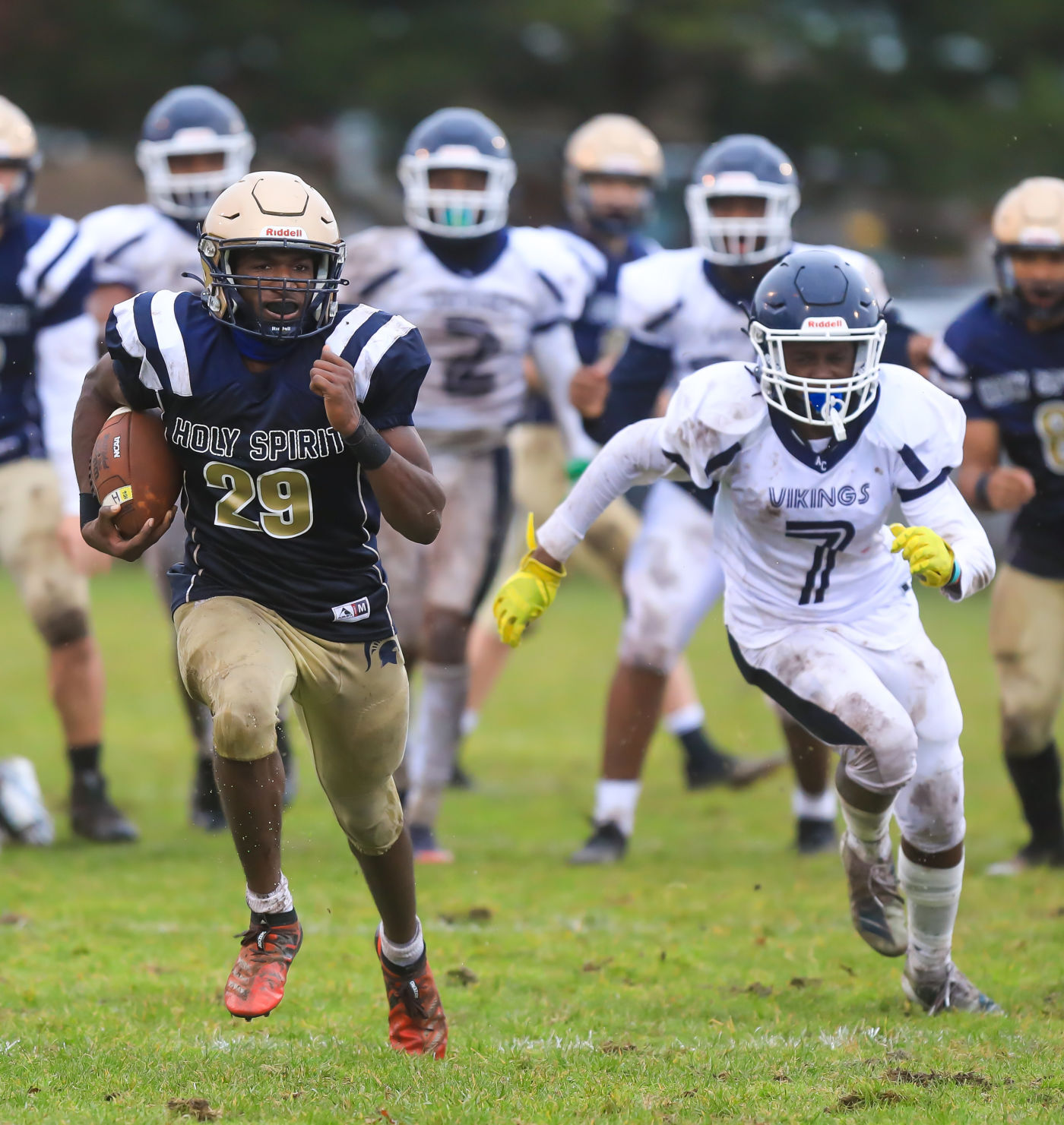 spt_HSFB